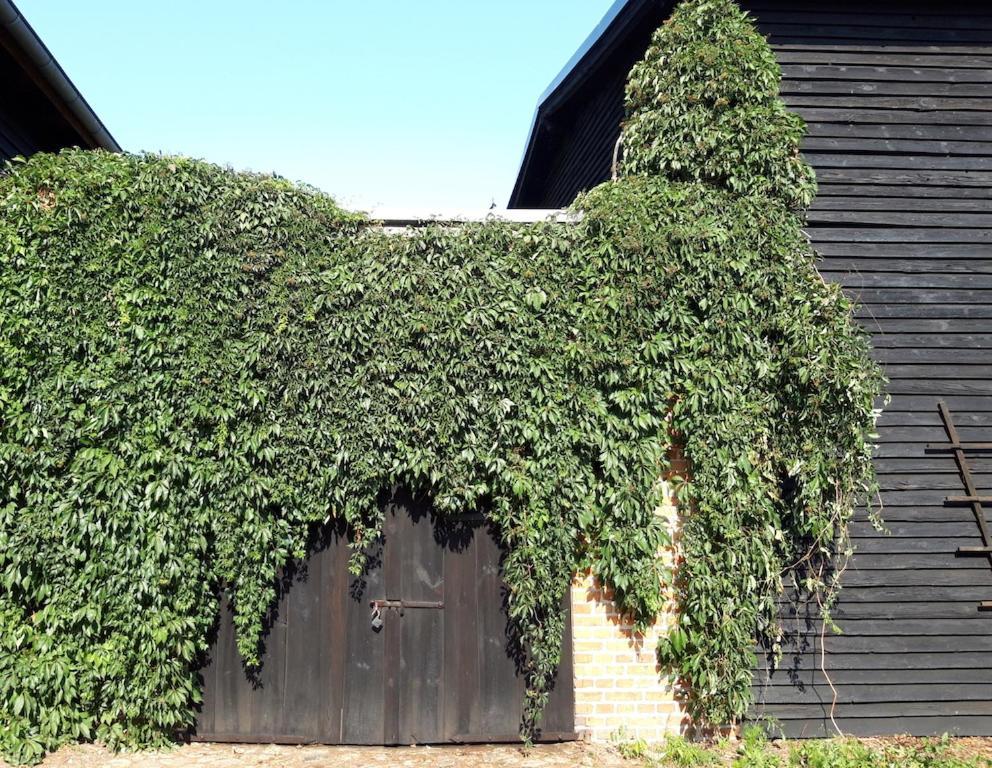 Ein Bett Im Kornfeld - Haus Fernweh - Innenpool Schonfeld  Exterior photo